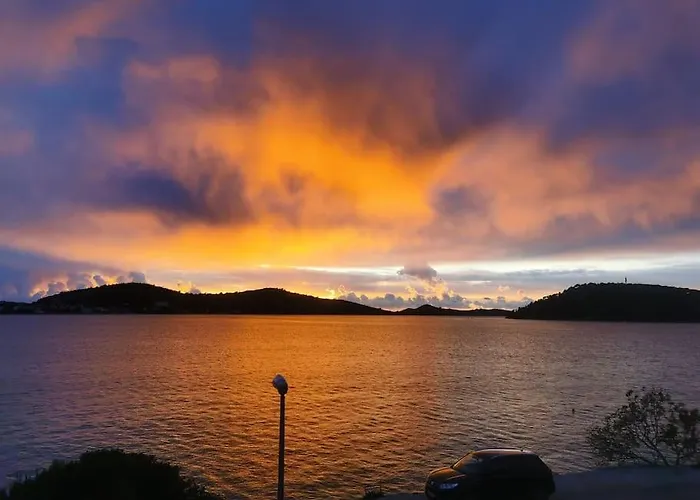 Front With Beautiful Sunsets 로고즈니차