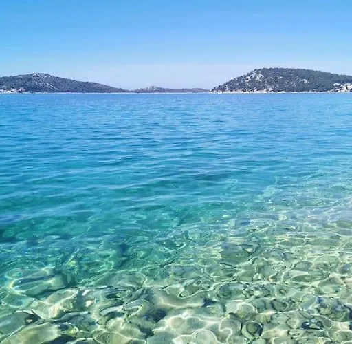 Front With Beautiful Sunsets * 로고즈니차