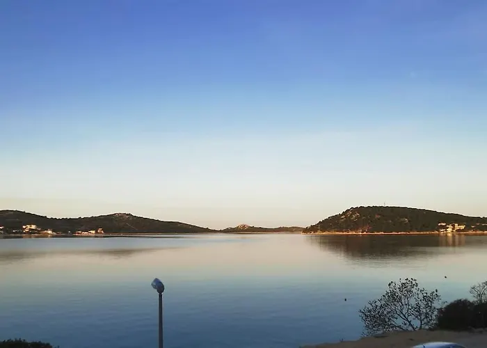 Front With Beautiful Sunsets 로고즈니차